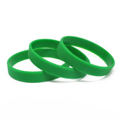 Силиконовый браслет зеленый (PMS 356C) размер Взрослый (202*12*2 мм)